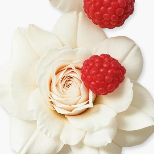 PDM MELIORA     EDP  75ML