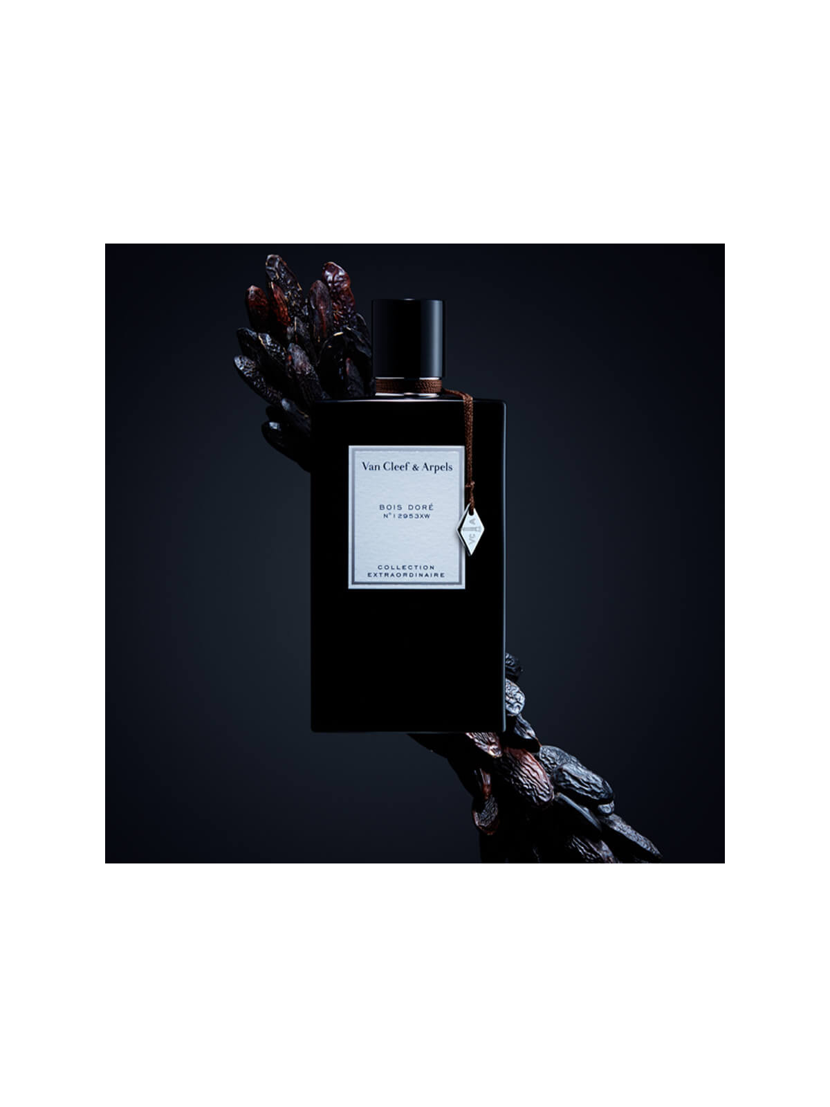 Bois Doré Eau de Parfum 75ml