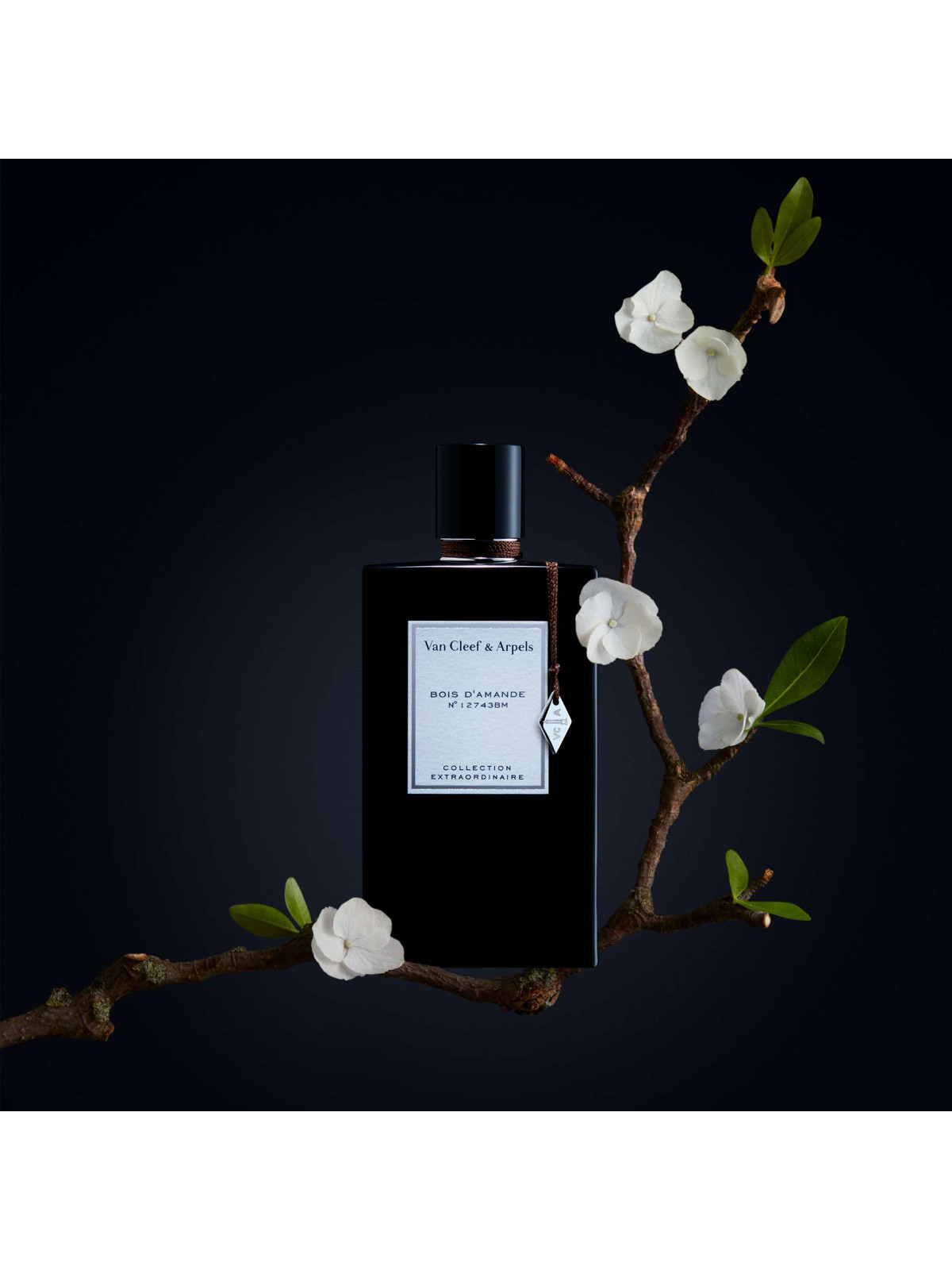 Bois d’Amande Eau de Parfum 75ml