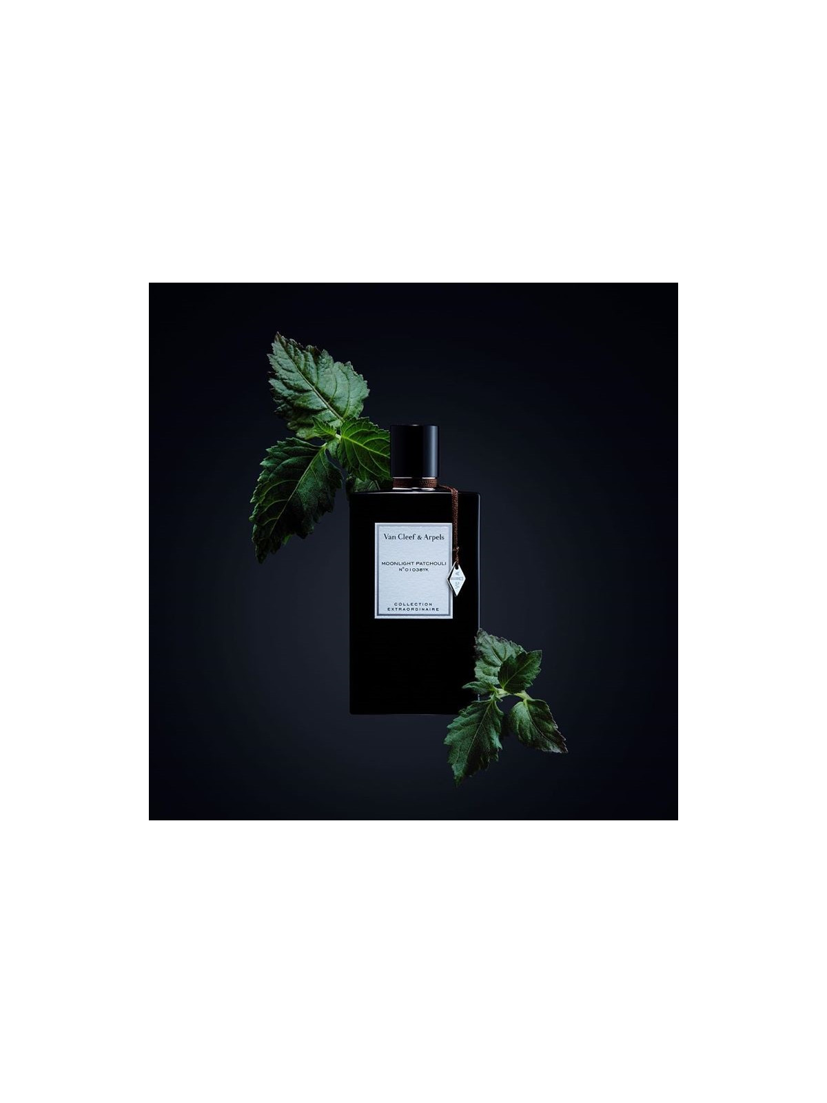 Moonlight Patchouli Eau de Parfum 75ml