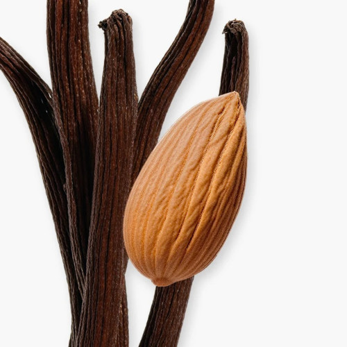 PDM PEGASUS     EDP  75ML