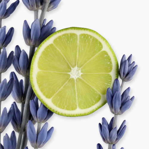 PDM PERCIVAL    EDP 125ML