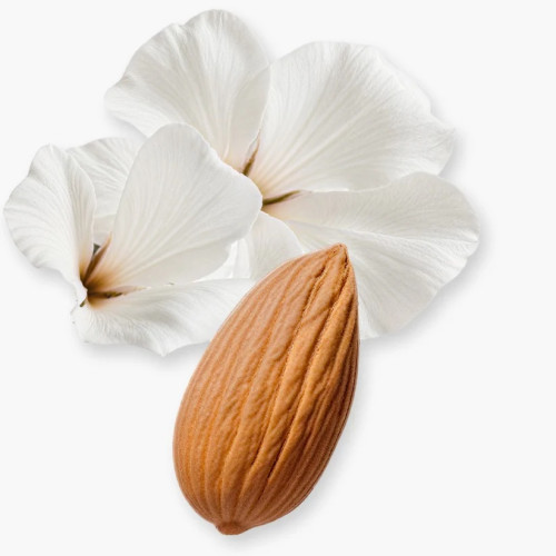 PDM VALAYA EXCLUSIF  30ML