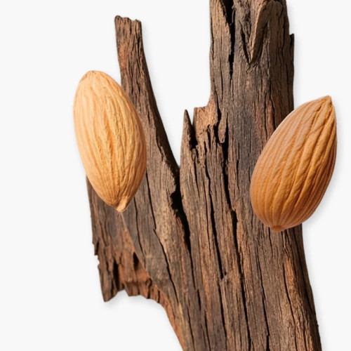 PDM PEGASUS EXCLUSIF PARFUM 75ML