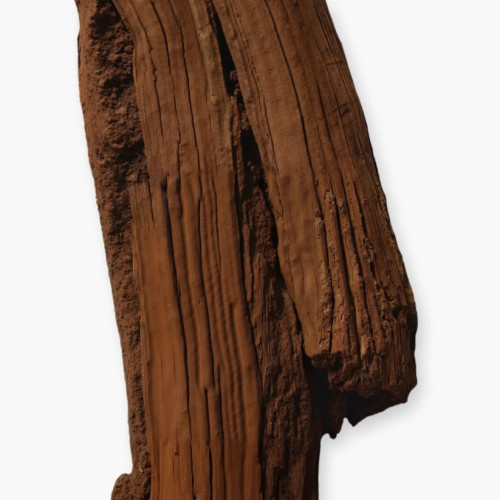 PDM HALTANE     EDP 125ML