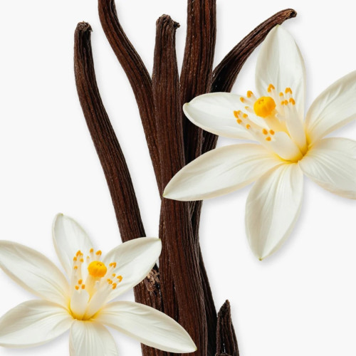 PDM ALTHAÏR     EDP  75ML