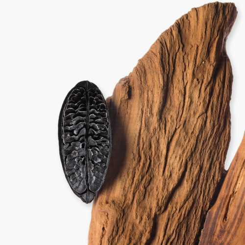 PDM CARLISLE    EDP 125ML