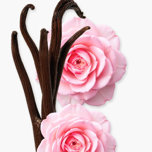 PDM DELINA EXC. PARFUM 30ML