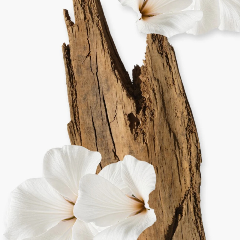 Valaya Eau de Parfum 75ml