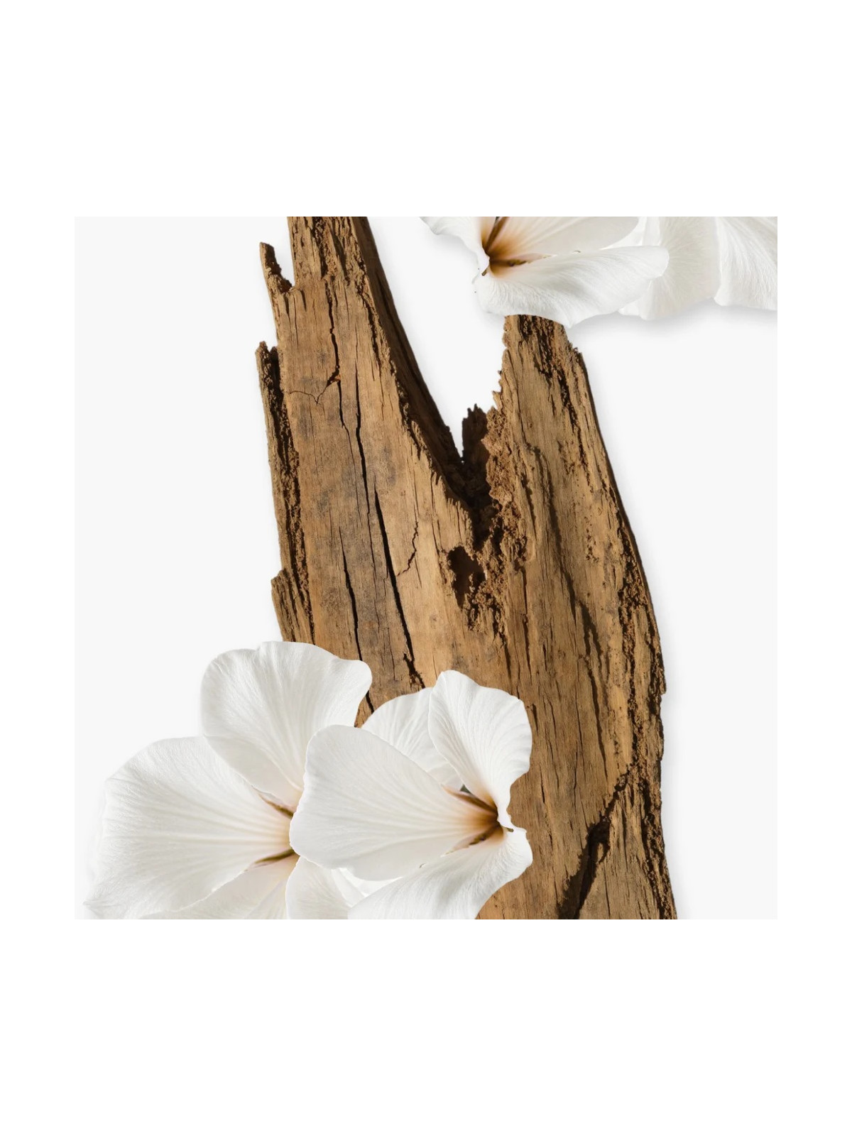 Valaya Eau de Parfum 75ml