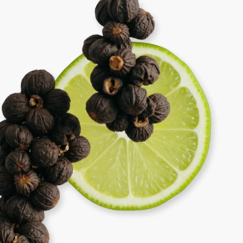 PDM CASTLEY     EDP 125ML