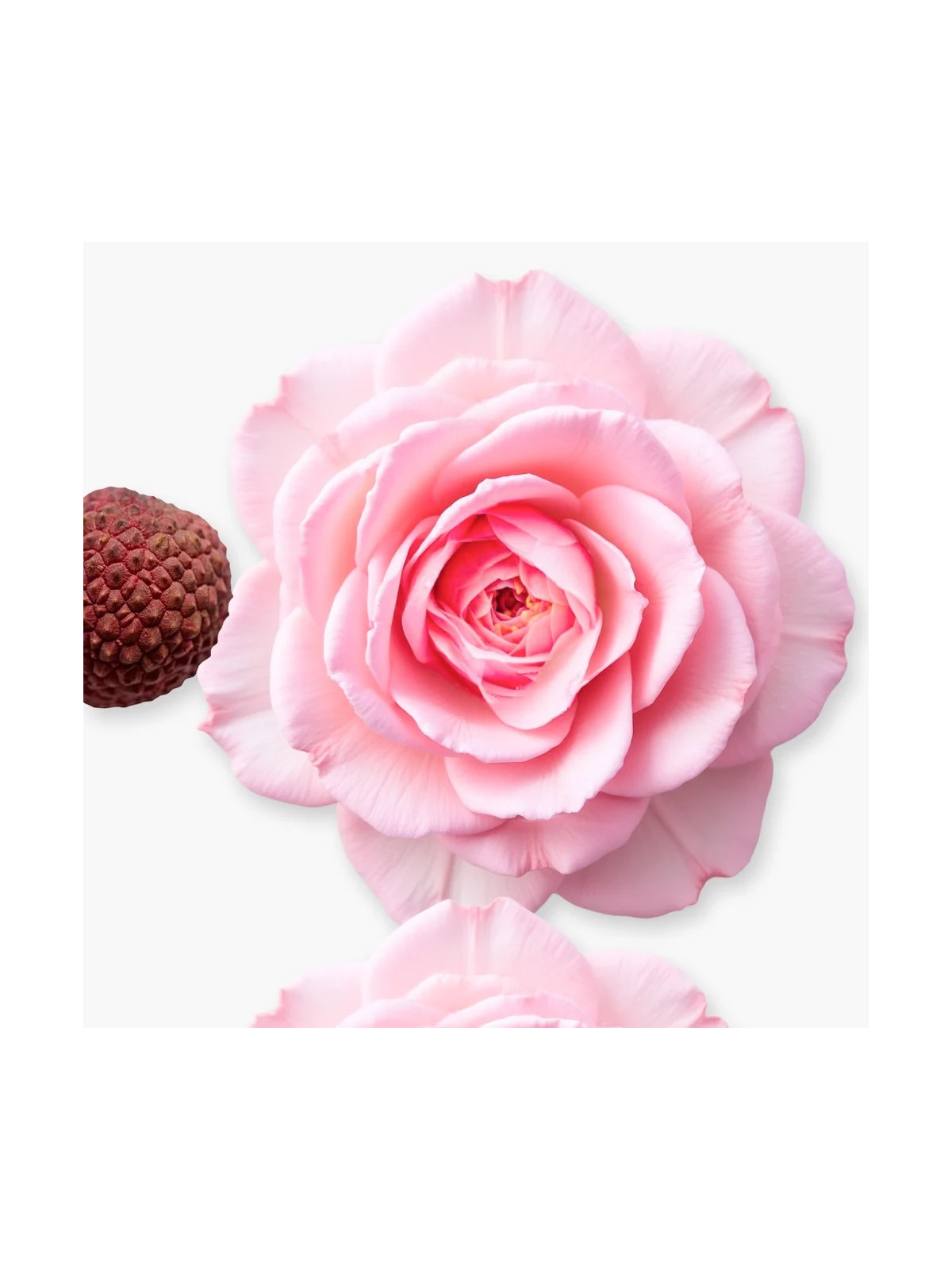 Delina Body Cream 200ml