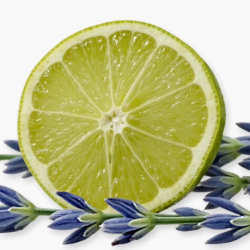 PDM PERCIVAL SHOWER GEL 200ML