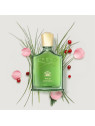 Wild Vetiver - Millesime 100ml